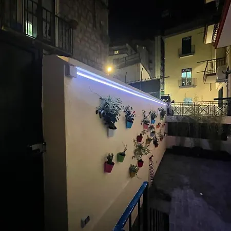 Cesitredici *